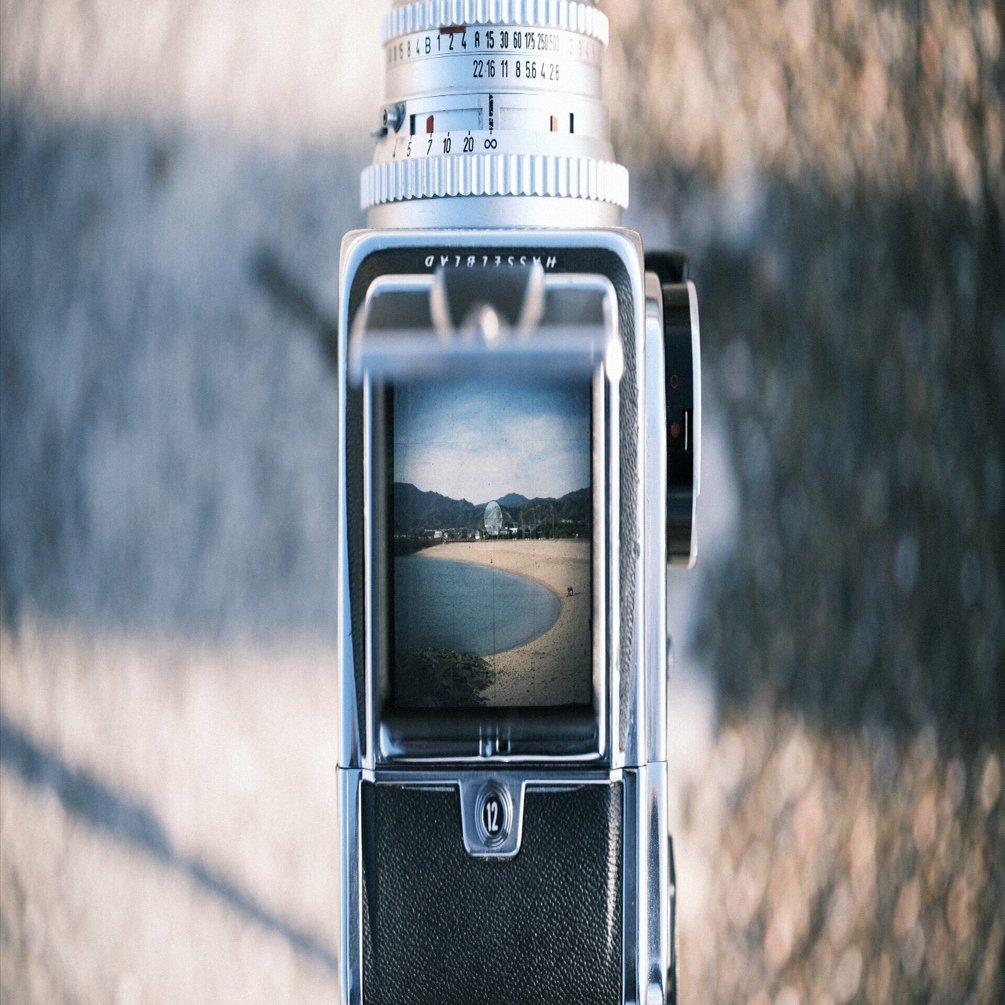 はじめまして、プラナリアです【自己紹介・ポートフォリオ】｜プラナリア