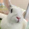みむ