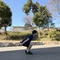 はっち【時短運動で理想の体型へ導くバーピー専門家】