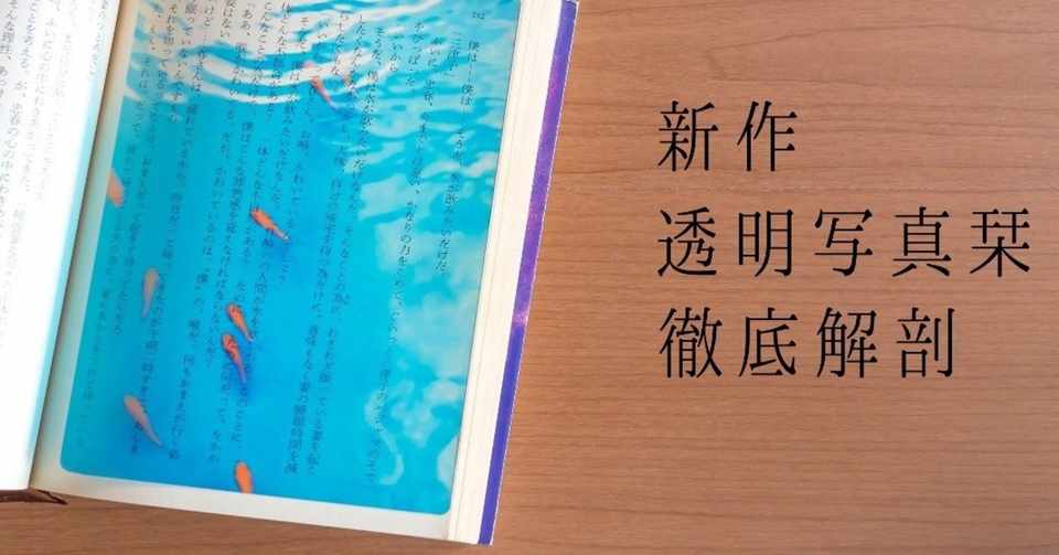 新作 透明写真栞 徹底解剖 安堂 真季 Note