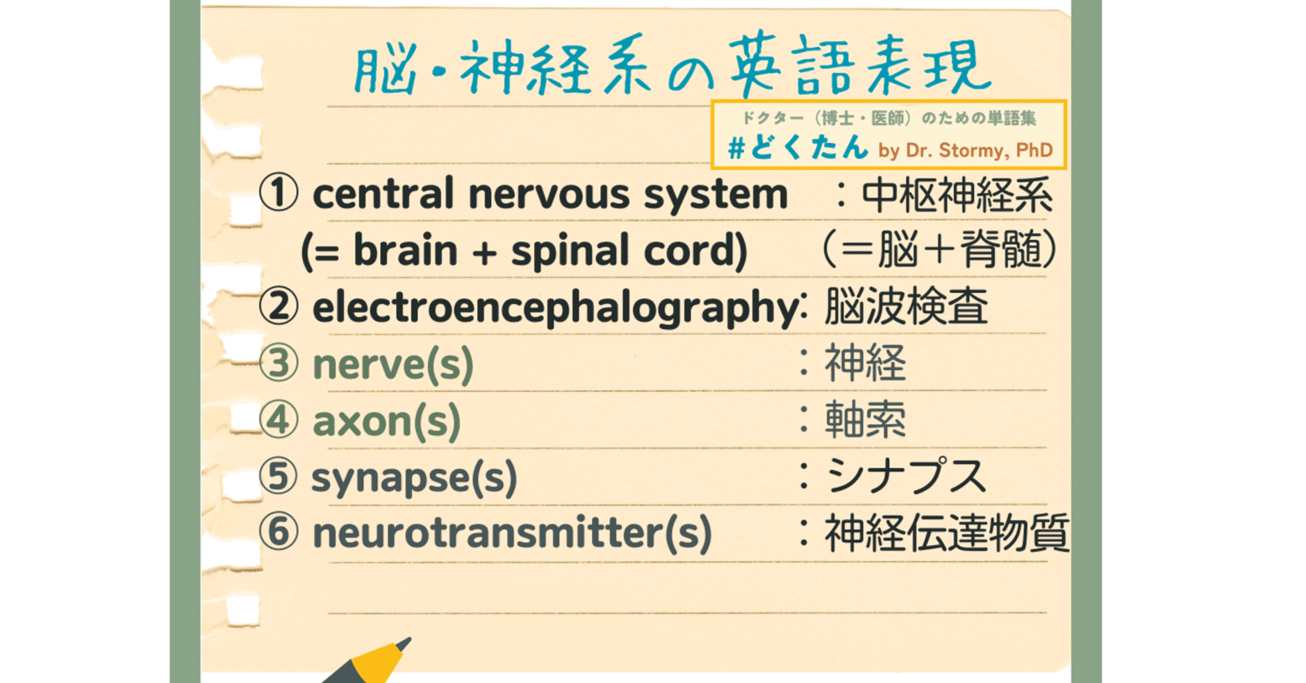 脳内物質のシステム神経生理学 精神精気のニューロサイエンス 脳内物質のシステム神経生理学―精神精気のニューロサイエンス