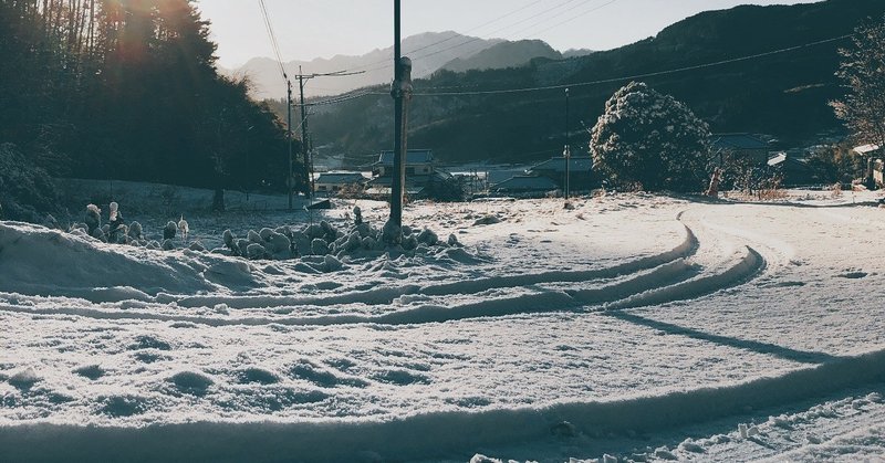 写真_2019-01-18_8_07_13