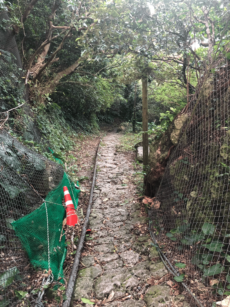 垣花樋川 かきのはなヒージャー Katsu Note