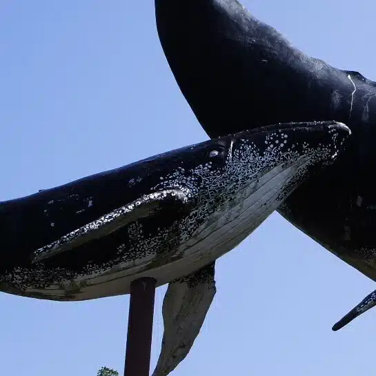 ゼロ