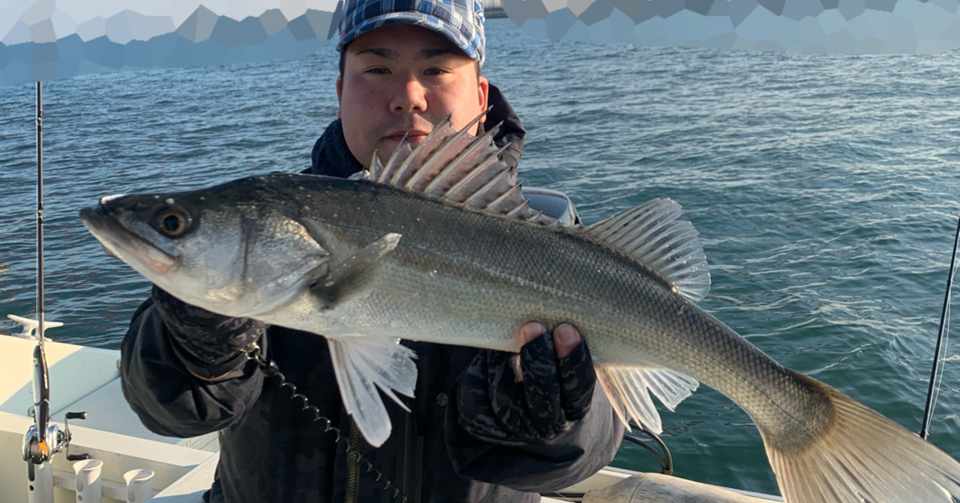 1月13日 月 シーバス午後便釣果 Bayworkstokyofishing Note
