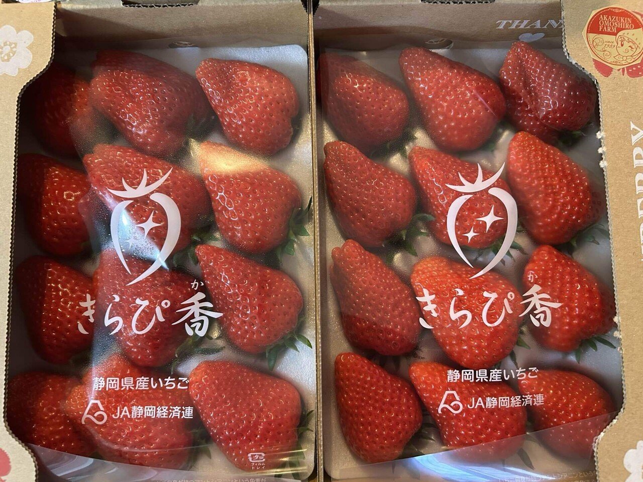 苺」の人気タグ記事一覧|note ――つくる、つながる、とどける。 苺」の人気タグ記事一覧|note ――つくる、つながる、とどける。