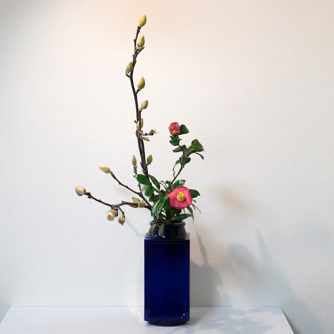 白木蓮と椿の瓶花|kouho yamaguchi 白木蓮と椿の瓶花|kouho yamaguchi