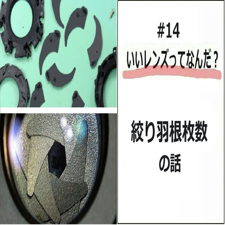 14）レンズ仕様表には必ず「絞り羽根枚数」を記載した項目があるが