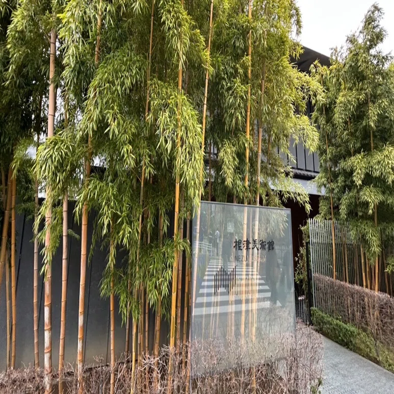 ひとり東京美術館めぐり～4 根津美術館～｜さかなしさん