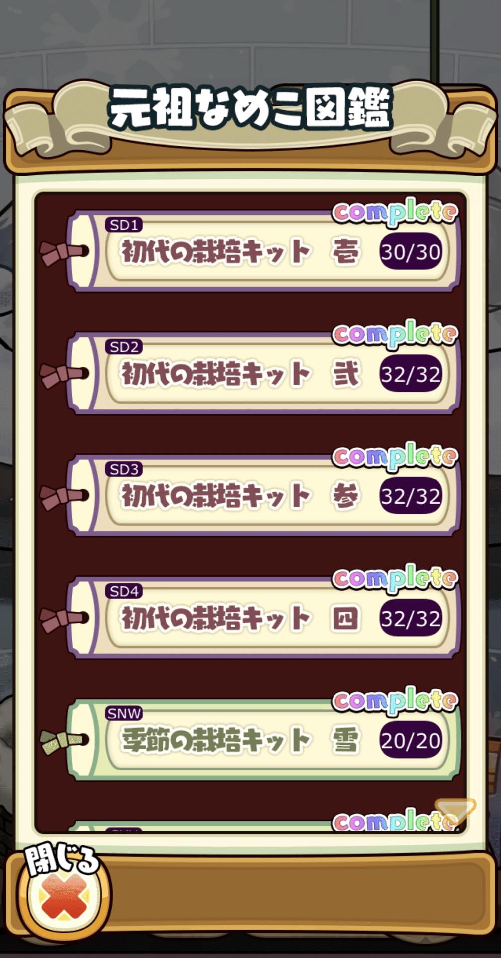 モモタマナ7年育成 半分切り落とし 凄い生きています。 ビカクシダ