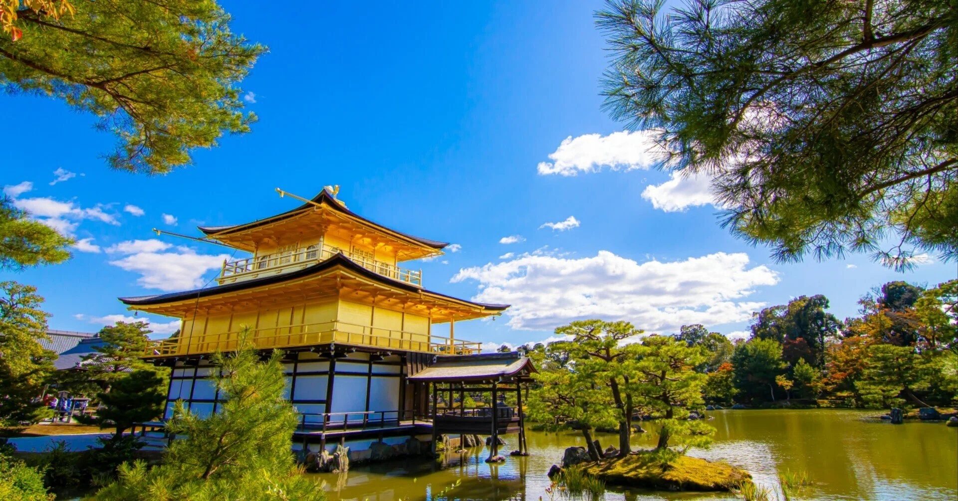 インバウンド専門家の「金閣寺」ノート｜Takusan｜全国通訳案内士