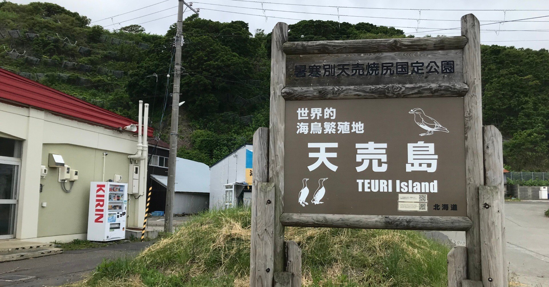 海鳥の楽園天売島に行ってきた！｜のぞむ
