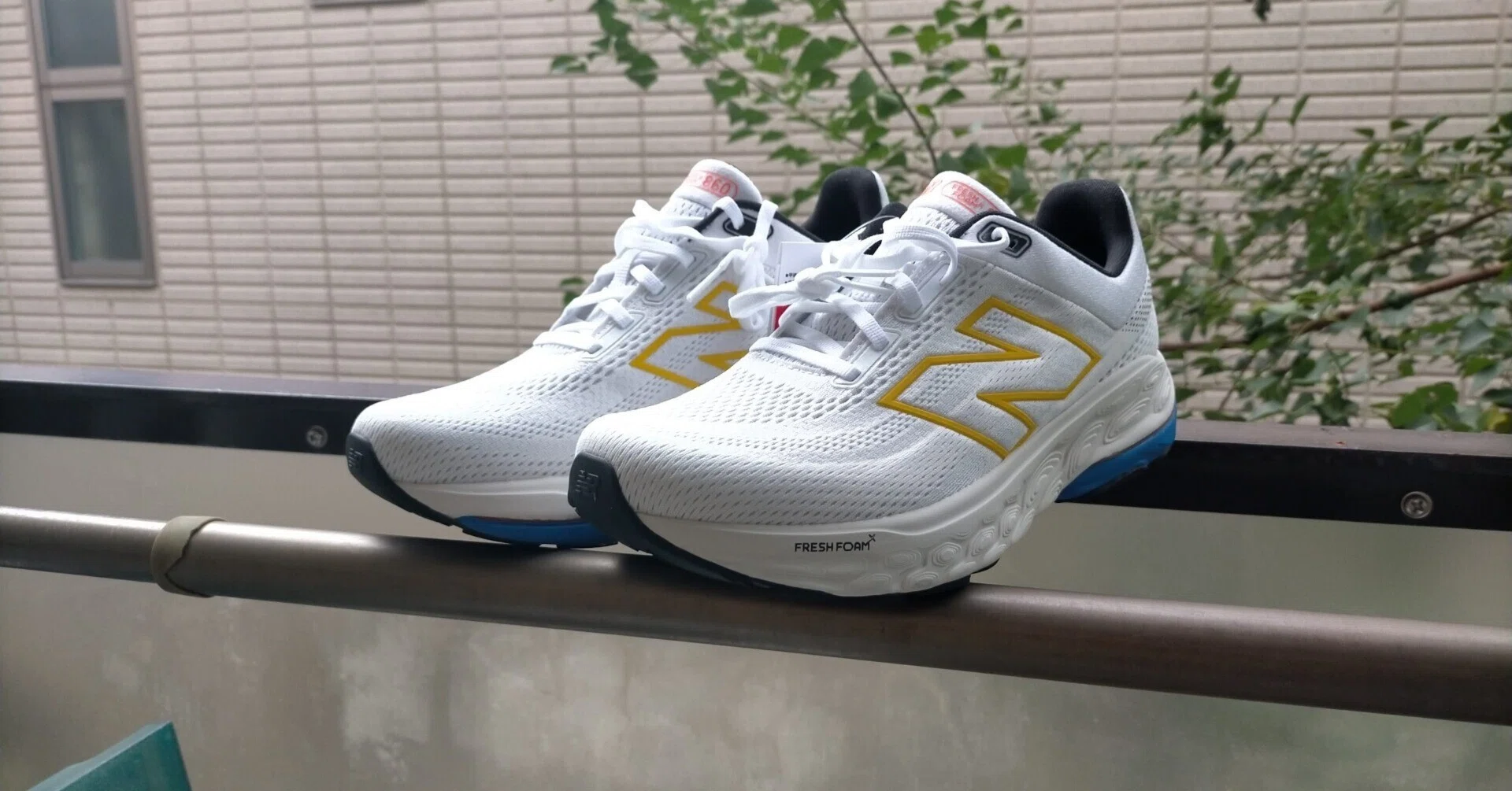 のぶ 普段使いからロングランまでサポートする。ニューバランス「Fresh Foam