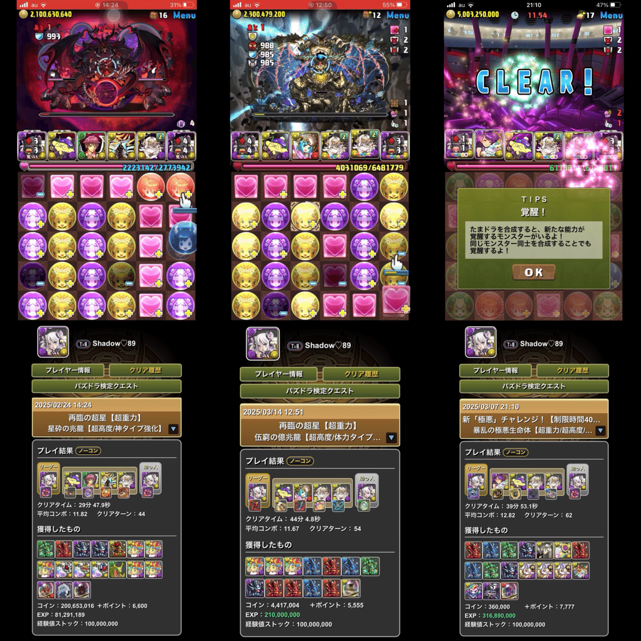 再臨の超星」を全クリアしたハク推しが語る、試練ハクPTの使用感