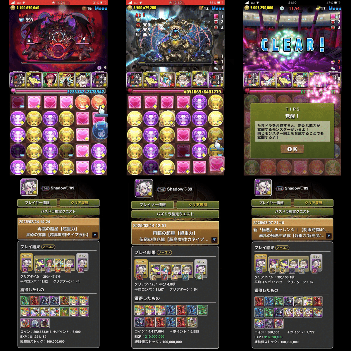 パズドラ - ハク推しのセット 再臨の超星」を全クリアしたハク推しが語る、試練ハクPTの使用感