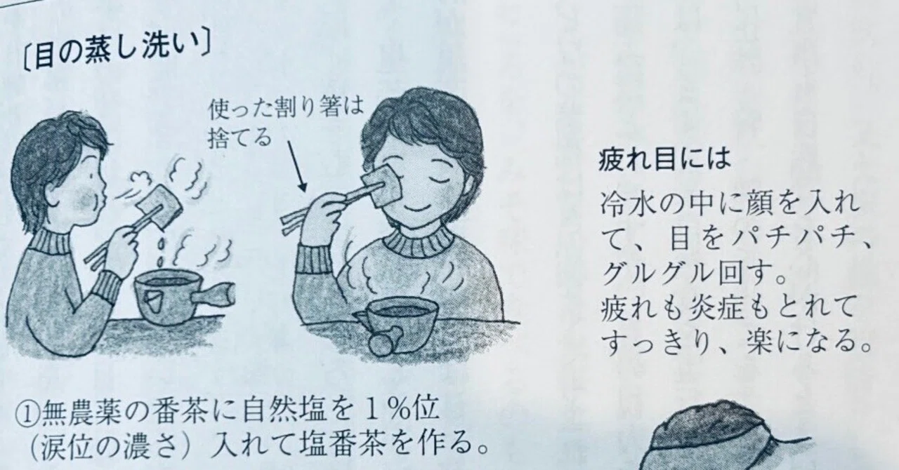 Combating Hay Fever with Mugwort Tea🌿｜wacaฅ^•ω•^ฅ