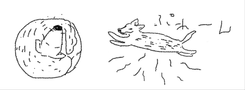 犬の足の匂いが好き Daifuku Note 犬の足の匂いが好き Daifuku Note