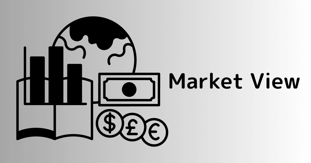 Foreign Currency Translation （外国通貨換算）｜Mii