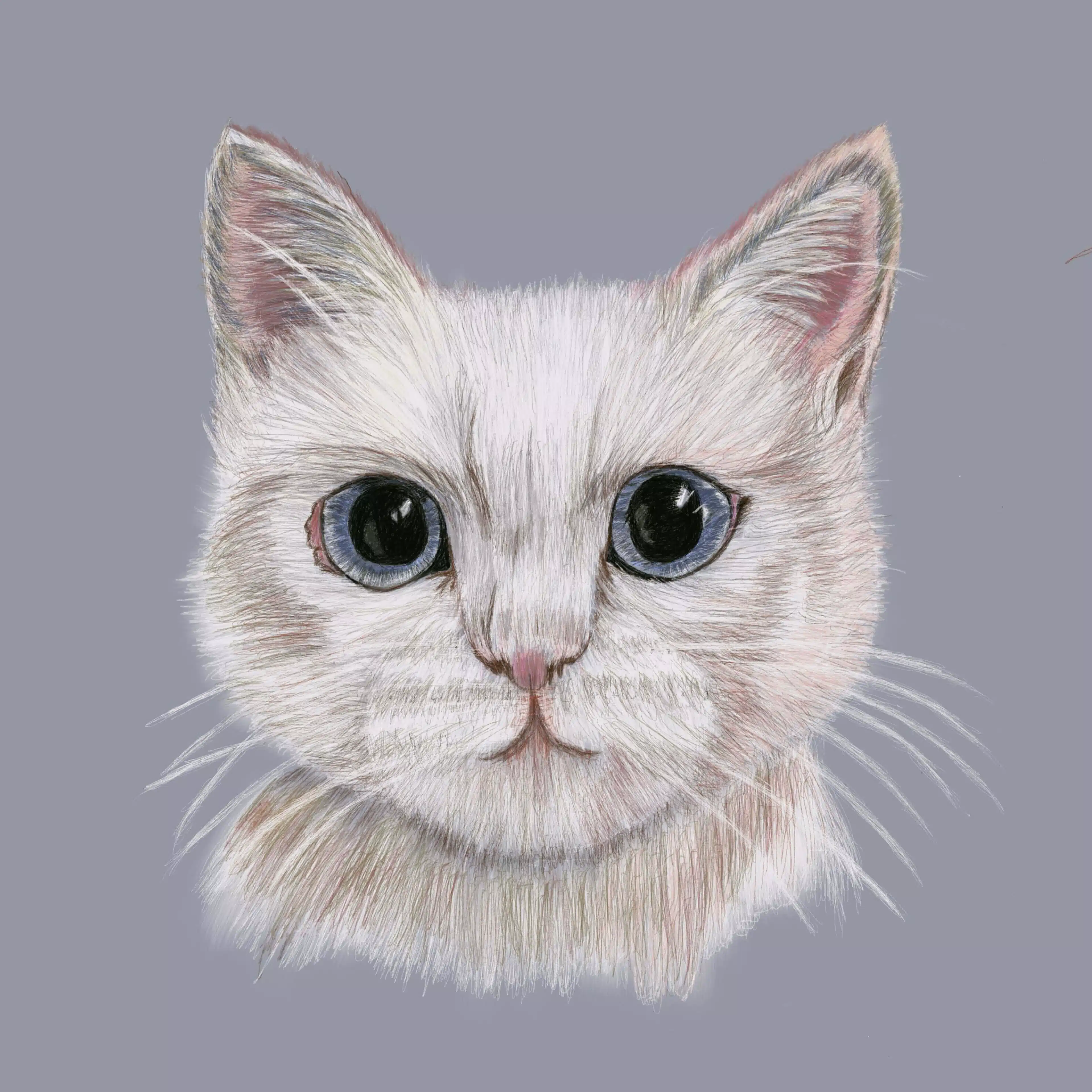 メル