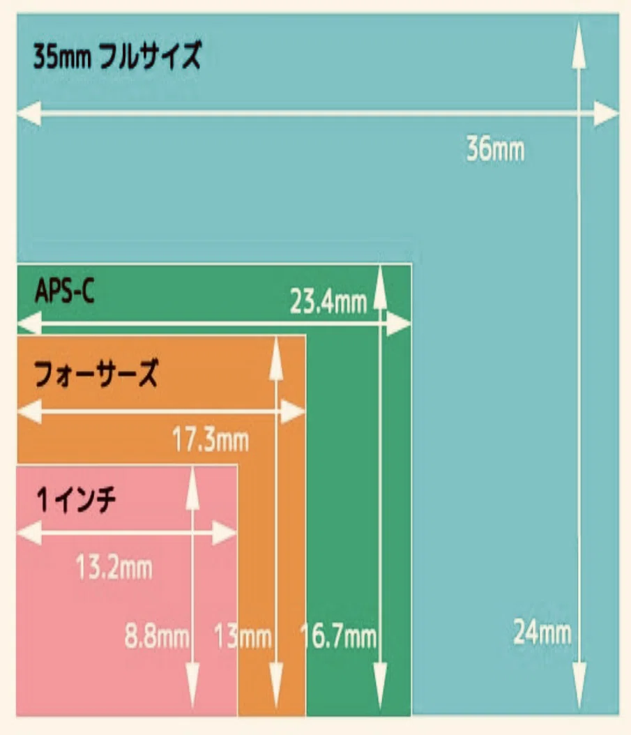 間違いばかりのカメラ選び②】すぐに超望遠レンズを買う人｜Alice_photolog