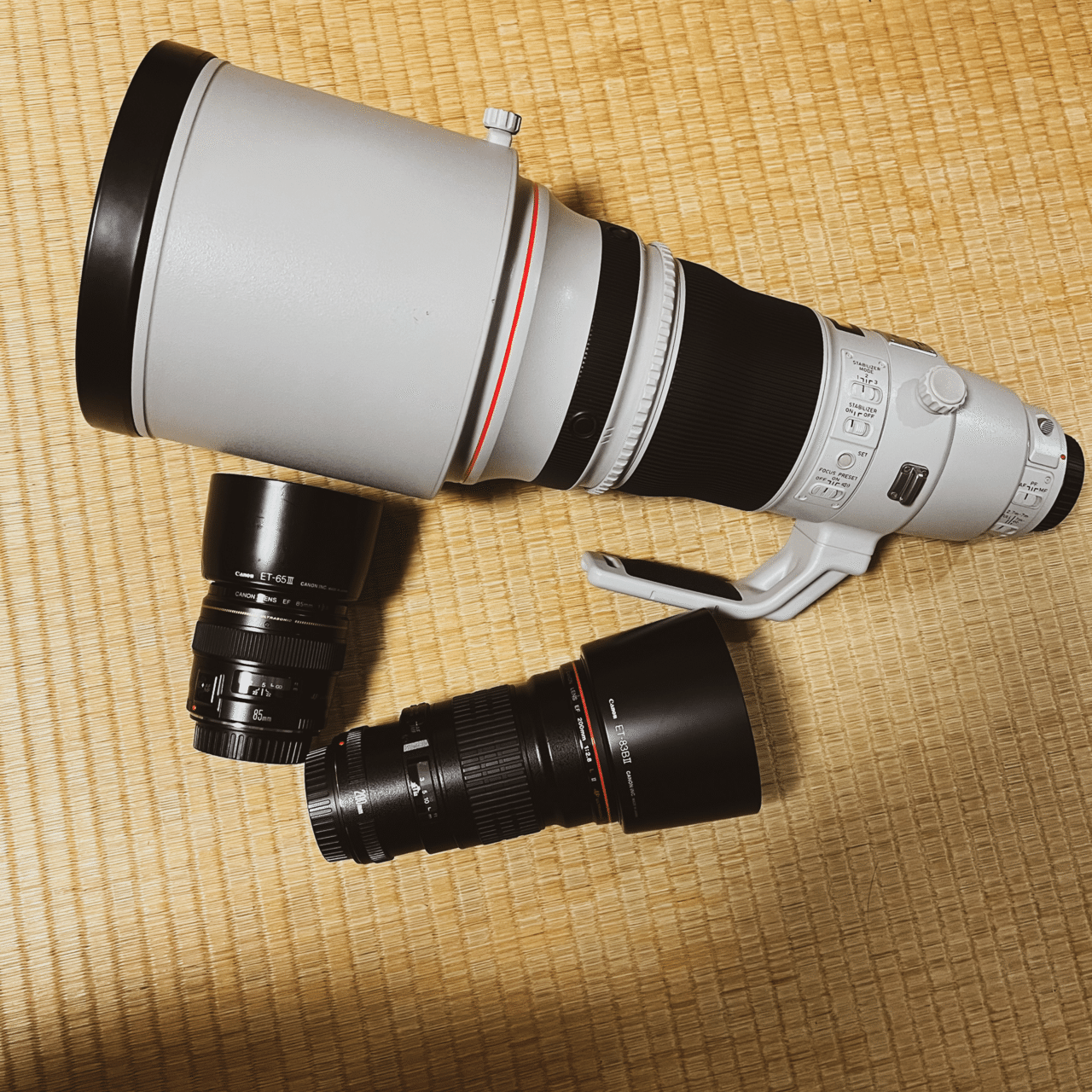 ❤️新品級❤️300mm超望遠レンズ❤️ CANON EF 75-300mm Canon EF 75-300mm F/4-5.6 III Lens, Telephoto Zoom, Compact, 4.9