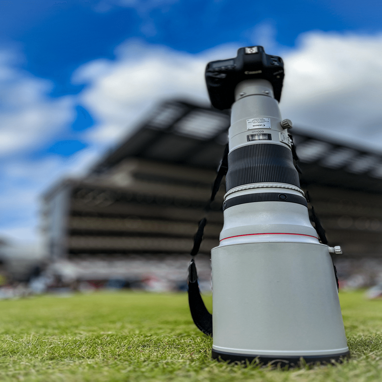 間違いばかりのカメラ選び②】すぐに超望遠レンズを買う人｜Alice_photolog