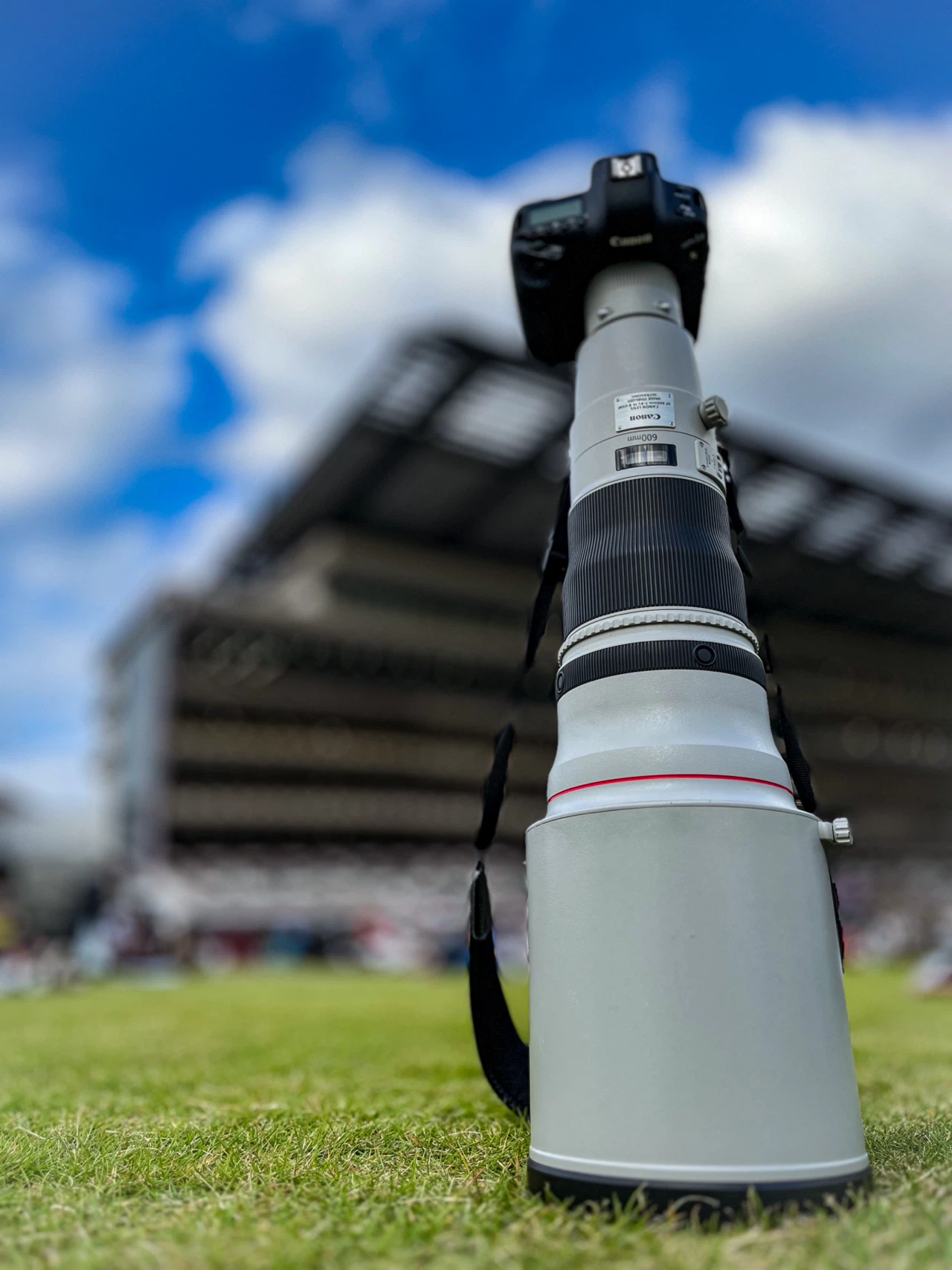 間違いばかりのカメラ選び②】すぐに超望遠レンズを買う人|Alice_photolog 間違いばかりのカメラ選び②】すぐに超望遠レンズを買う人|Alice_photolog