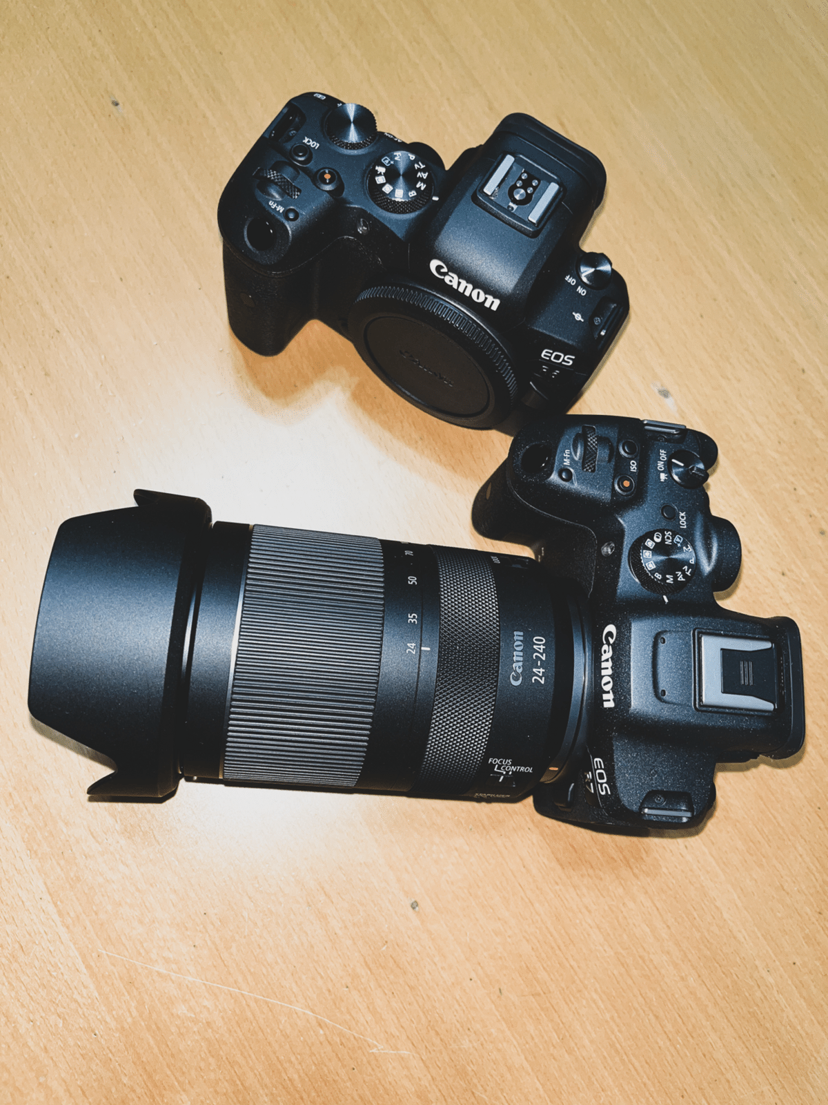 間違いばかりのカメラ選び②】すぐに超望遠レンズを買う人｜Alice_photolog