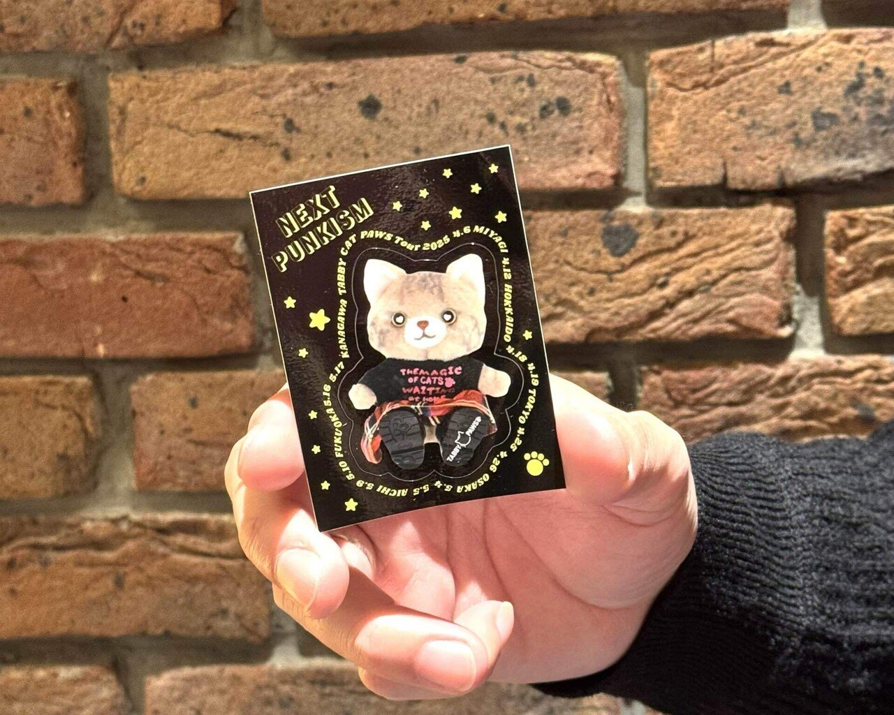 春のTCP祭り｜黒柳 能生 公式note