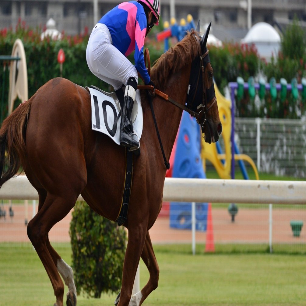 【セール】福袋のファッション通販 2025年 競馬 G1 ファンファーレ集：気分を高める名曲｜まけしら社長 冷却パーツ・ファン