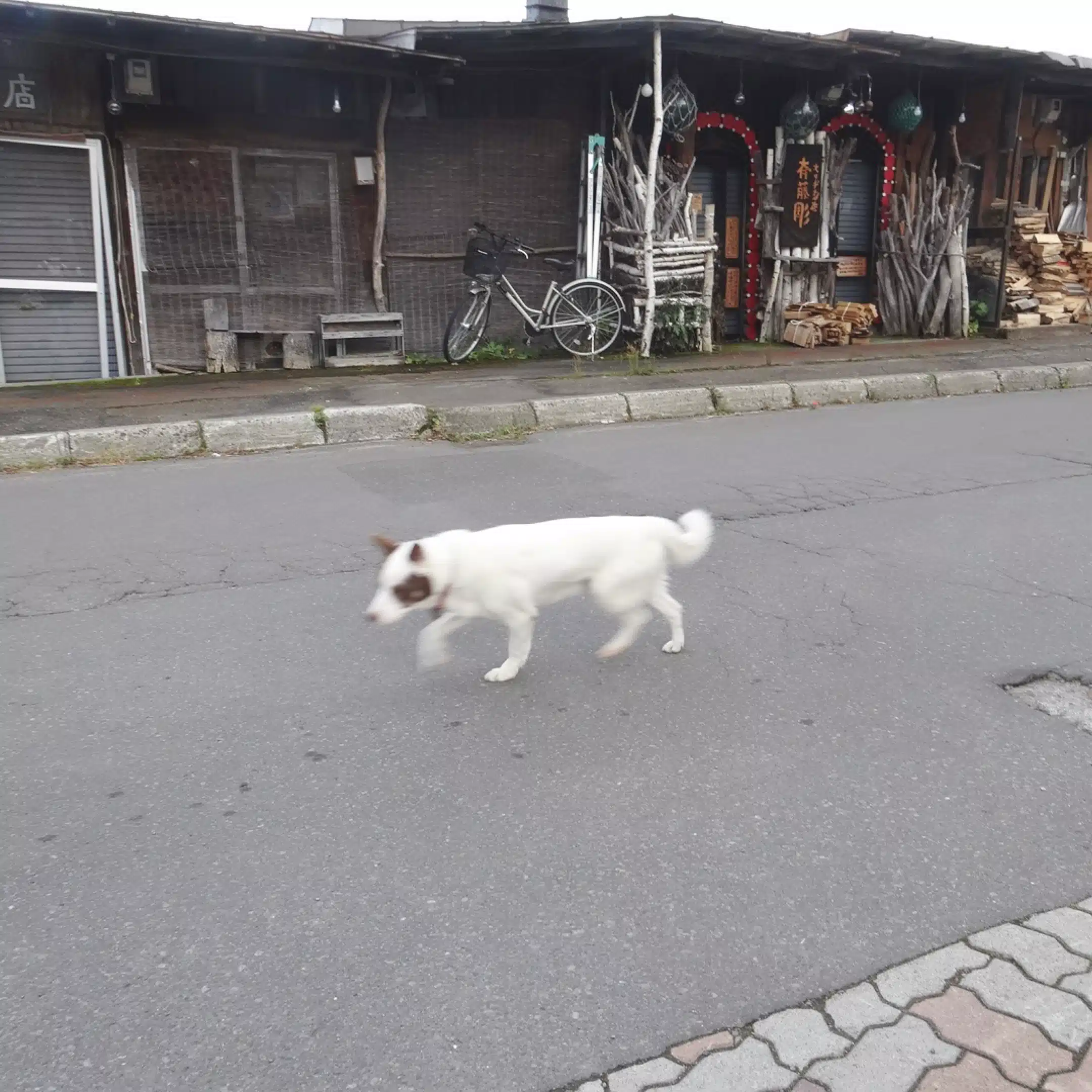イシダ