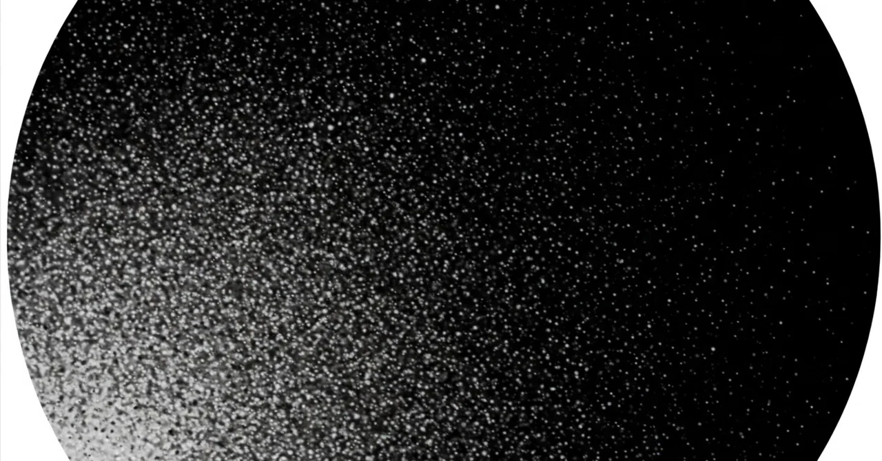 粒子群最適化（Particle Swarm Optimization, PSO）の応用例を、企業の規約ルールにおけるグレーゾーン発見・報告 ...