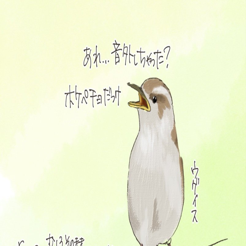 ただいま歌の練習中｜ウグイス｜くますけ｜自然ガイド・クリエイター