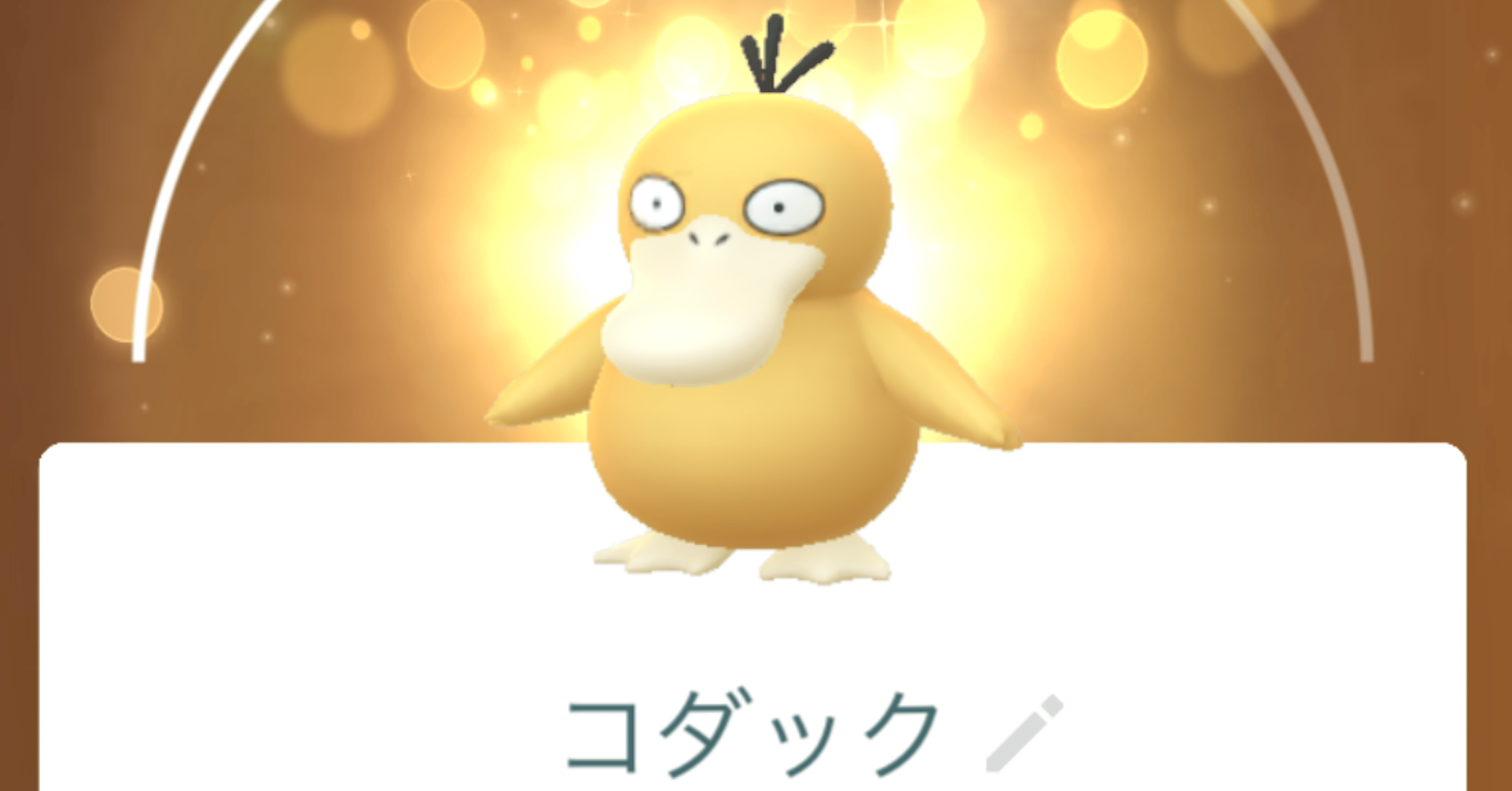 166 めざせコダック色違いFFFXXL｜あひる