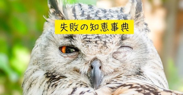 2025年4月2日発売】複雑系としての社会史：社会・技術・環境の共