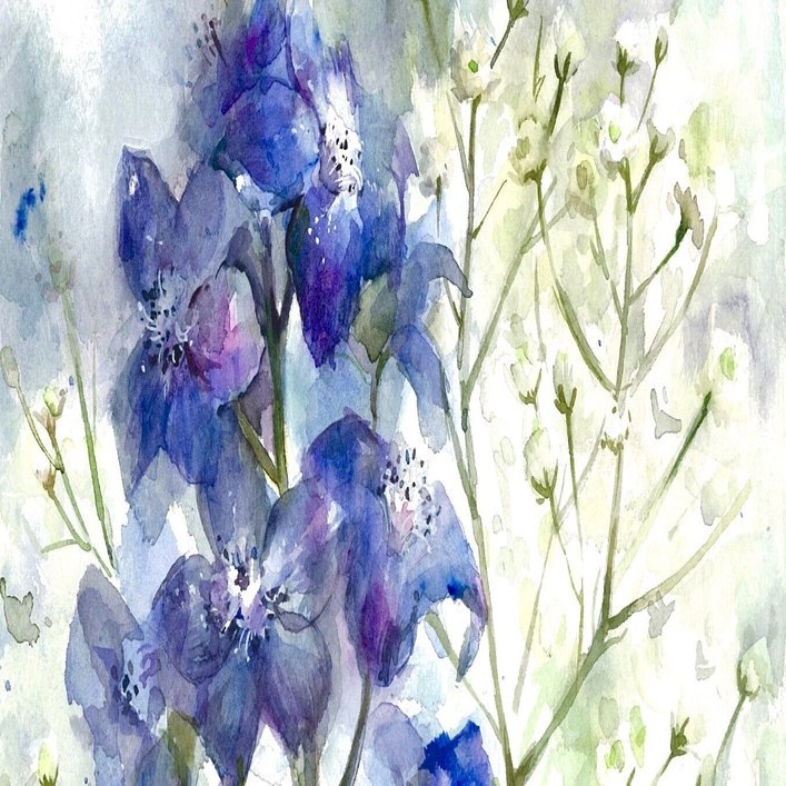 メイキング】デルフィニウムとかすみ草【水彩画】｜柳@水彩画家