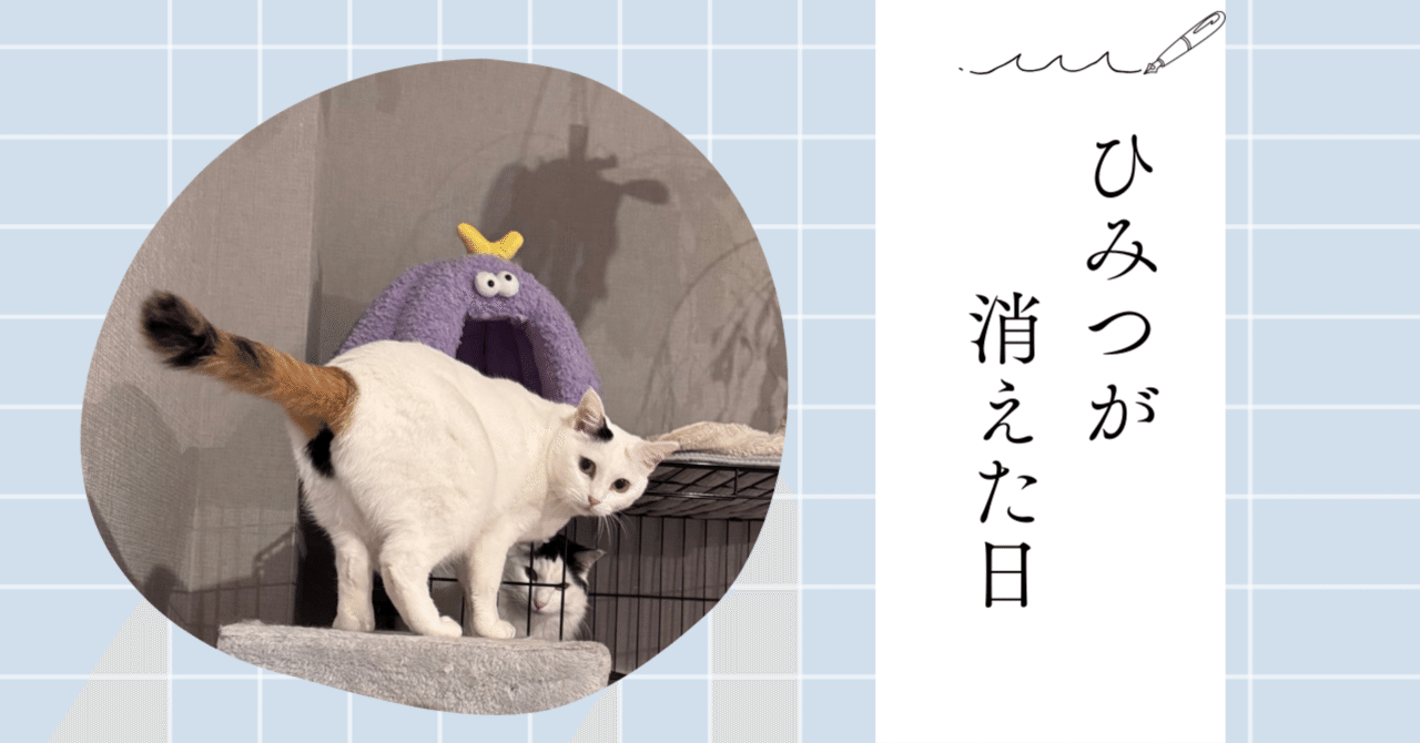 猫神(@zhao_p42510) / X