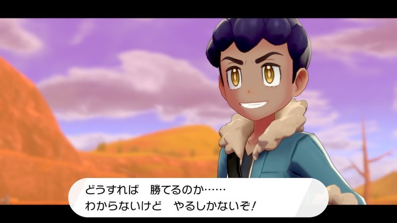 ガラル地方を旅したおれのポケモンレポートex Mr Koo Note