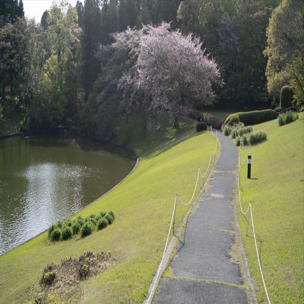 DIC川村記念美術館 移転発表 ハゲタカ失速か？｜amaro