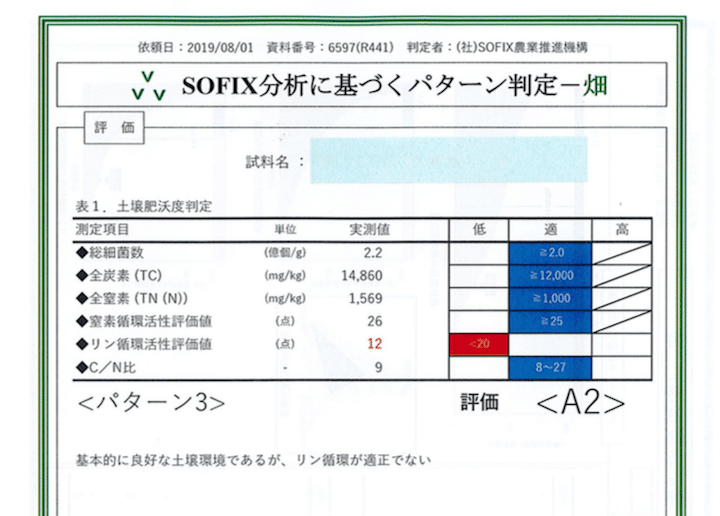 sofix　パターン判定