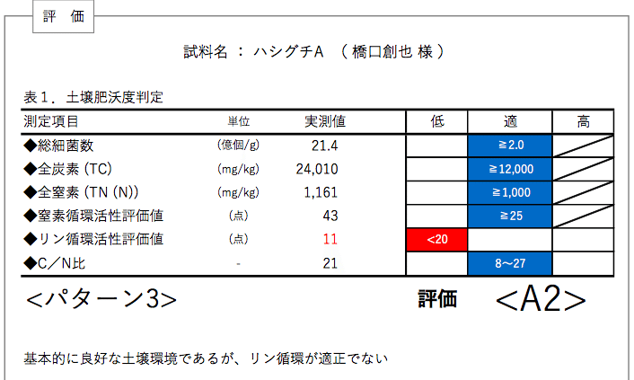 SOFIX notefarm パターン判定