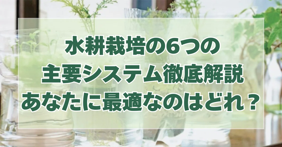 水耕栽培の6つの主要システム徹底解説〜あなたに最適なのはどれ？｜水 