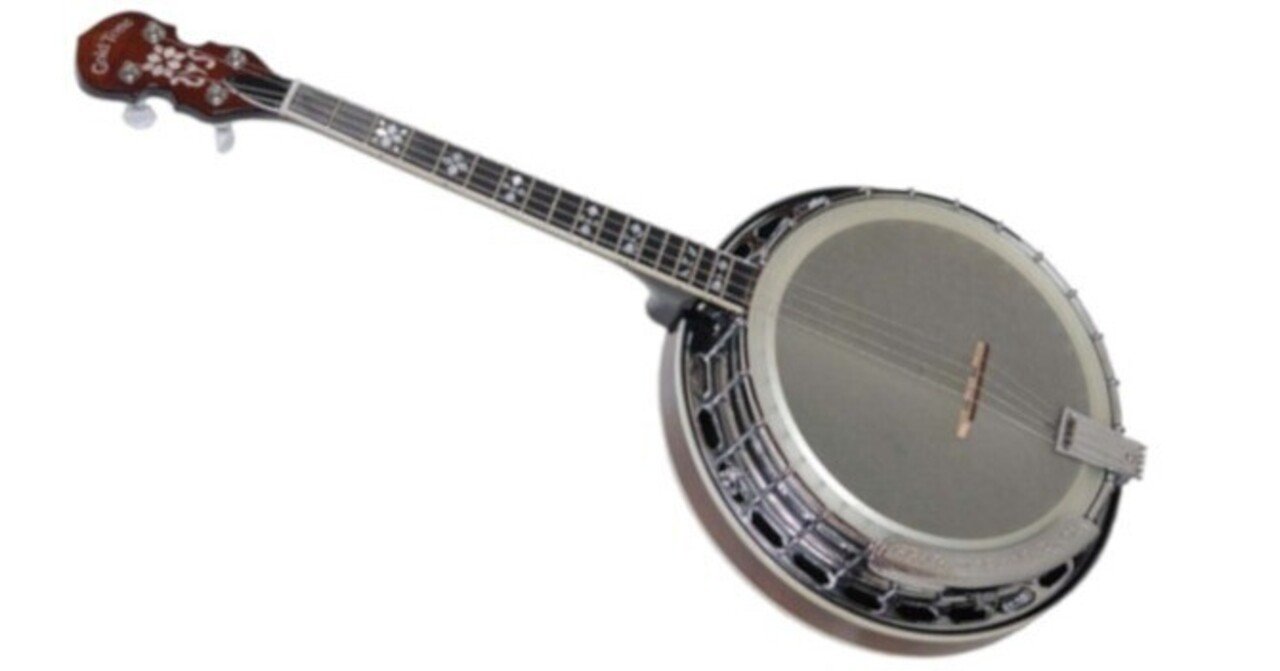 Gold Tone IT-19 Banjo 4弦 アイリッシュバンジョー Gold Tone IT-19
