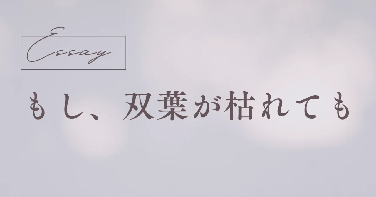 見出し画像