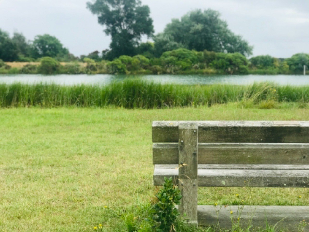 どこか遠くへ行きたい日 書きかけのような日記 サトウ カエデ Note