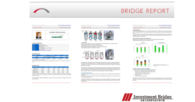 2020-Bridge Report (English IR Reports)