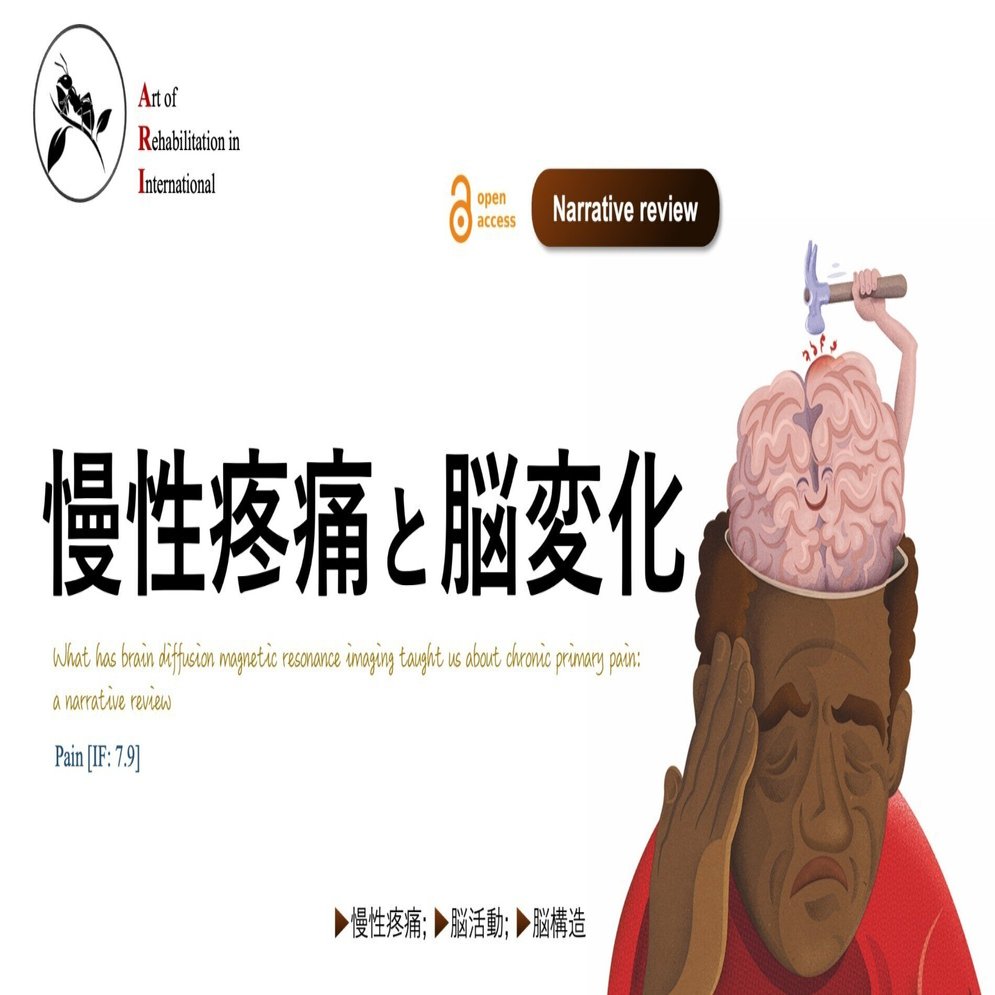 慢性疼痛と脳変化｜Super Human | 理学療法士／保健学博士 Ph.D.