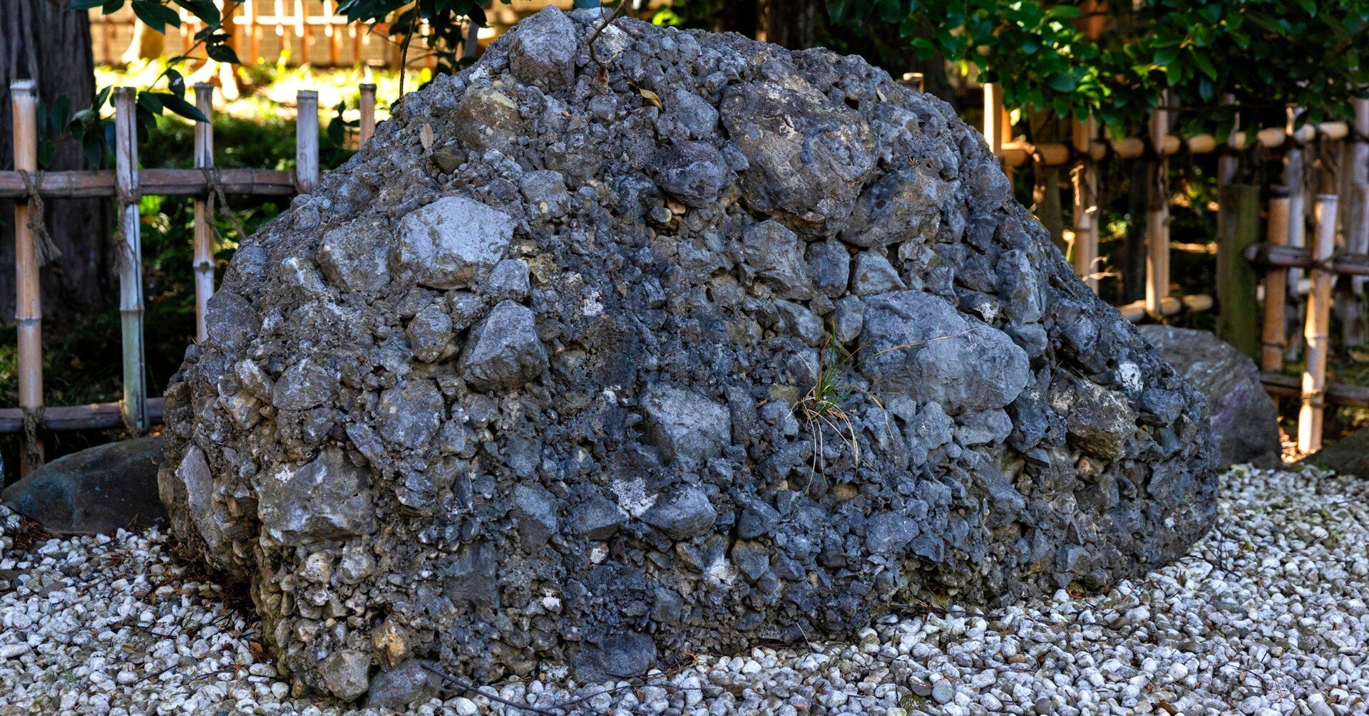 第243回～「さざれ石」｜武蔵一宮 氷川神社