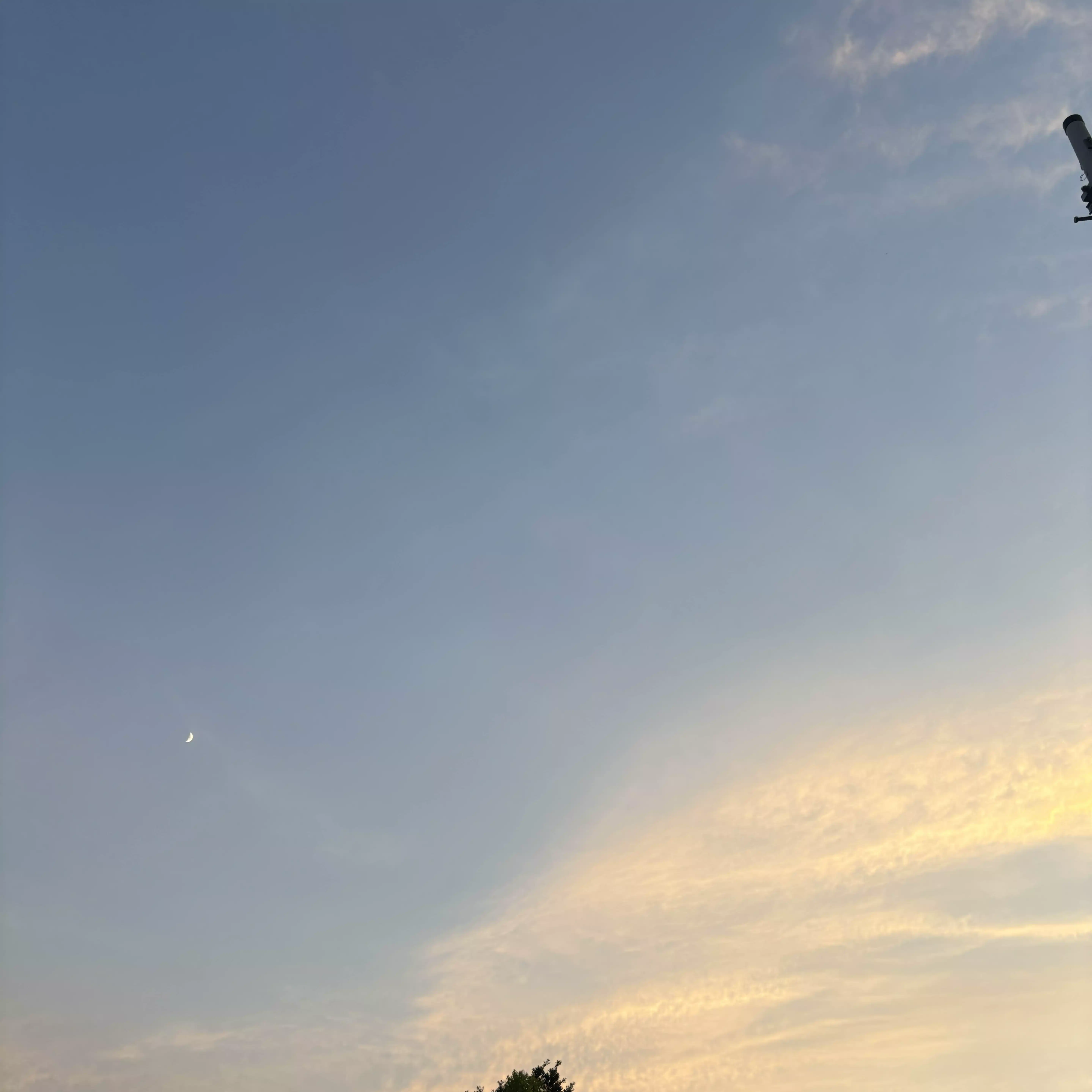 キオリタ