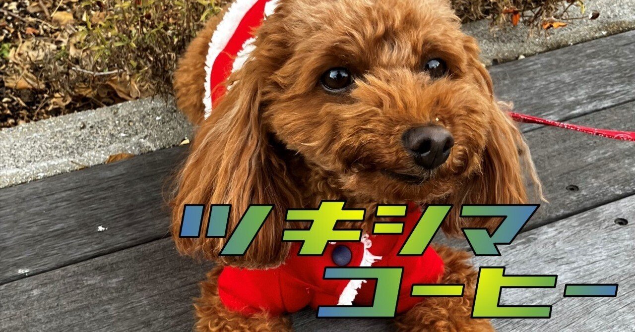 知らない町」の「知らない人」から連絡が来たので、会いに行ってみた